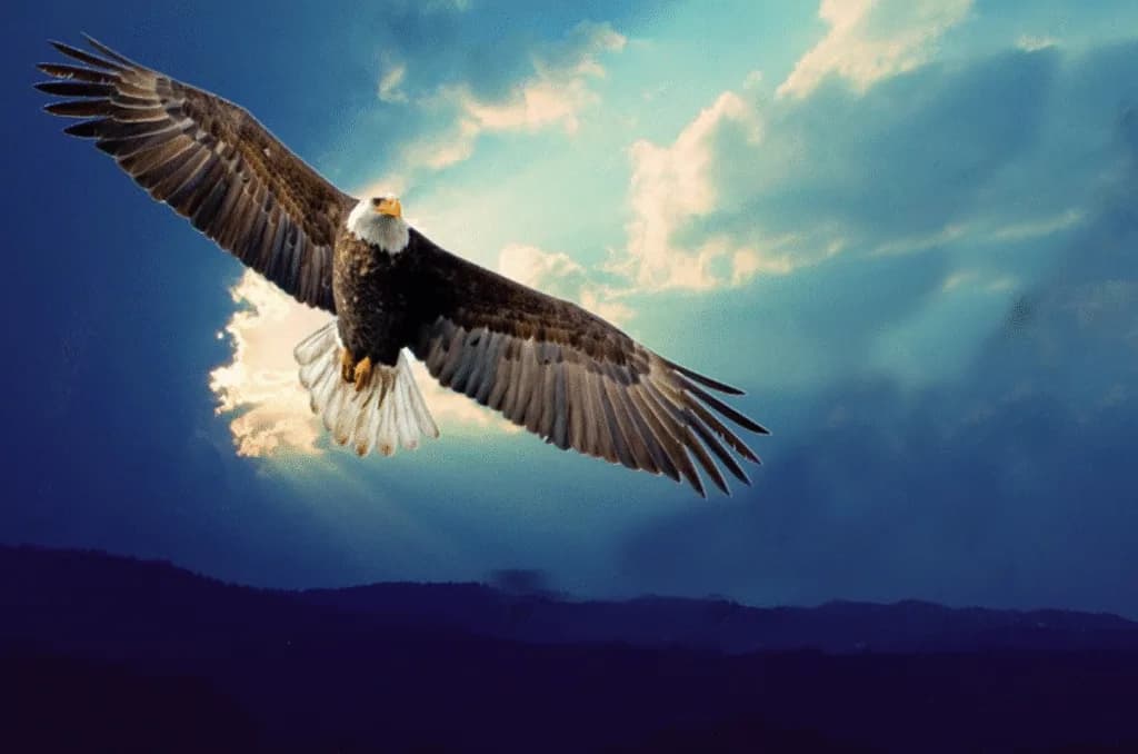 Despertar del Águila
