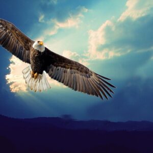 EL DESPERTAR DEL ÁGUILA